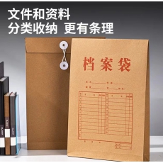 档案袋