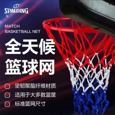 篮球网