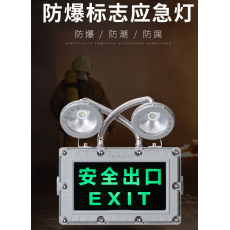 防爆应急灯